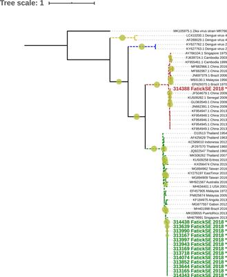 Co-circulation of dengue virus serotypes 1 and 3 in the Fatick region of senegal 2018